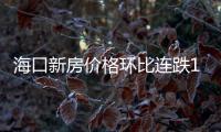 海口新房價格環比連跌14個月后“回正”,二手房市場量價分化