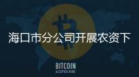 海口市分公司開展農資下鄉活動
