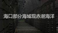 海口部分海域現赤潮海洋部門提醒：減少親水臨水
