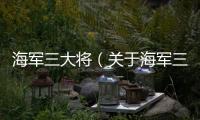 海軍三大將（關于海軍三大將的基本情況說明介紹）