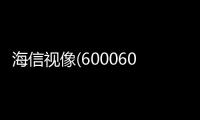 海信視像(600060)
