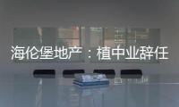 海倫堡地產：植中業辭任副董事長職務，宋偉虎接任