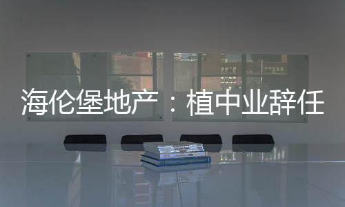 海倫堡地產：植中業辭任副董事長職務，宋偉虎接任