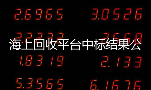 海上回收平臺中標結果公告