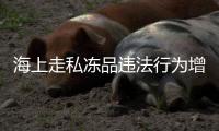 海上走私凍品違法行為增加 深圳繳獲涉嫌走私凍品50噸