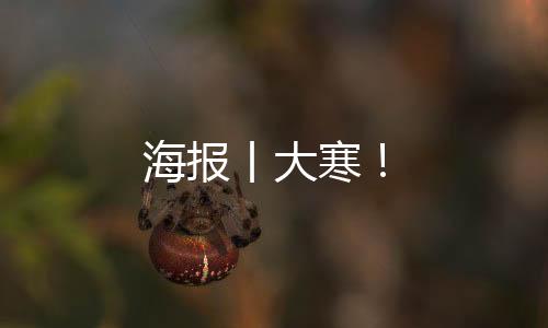 海報(bào)丨大寒!