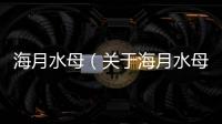 海月水母（關于海月水母的基本情況說明介紹）