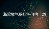海歌燃氣壁掛爐價格（燃氣壁掛爐價格）