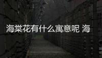 海棠花有什么寓意呢 海棠花的市場價格是怎么樣的呢