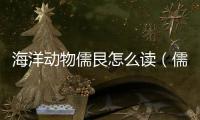 海洋動(dòng)物儒艮怎么讀（儒艮怎么讀）