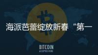 海派芭蕾綻放新春“第一枝”！上海芭蕾舞團開拓“線上線下”舞臺空間
