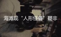 海灘現(xiàn)“人形怪獸”疑非地球生物