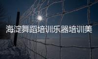 海淀舞蹈培訓樂器培訓美術培訓公司轉讓