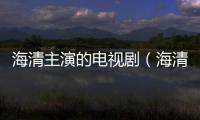 海清主演的電視劇（海清電視劇大全）