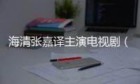 海清張嘉譯主演電視劇（張嘉譯主演電視劇）