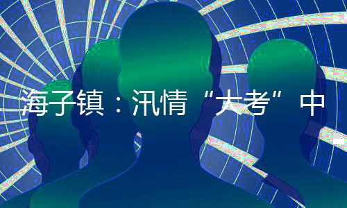 海子鎮(zhèn)：汛情“大考”中，黨員干部繪就初心“答卷”
