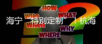 海寧“特別定制”！杭海城鐵3列文化主題列車來啦