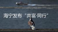 海寧發(fā)布“共富·同行” 黨建引領(lǐng)共同富裕工程十大行動