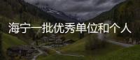 海寧一批優(yōu)秀單位和個(gè)人被表彰！還有首批→