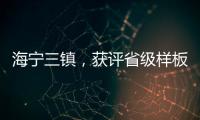 海寧三鎮(zhèn)，獲評省級樣板！