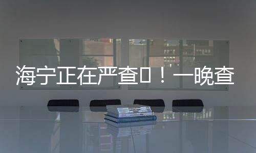 海寧正在嚴查?！一晚查獲9人?