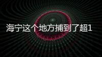 海寧這個地方捕到了超1.5噸鮮魚，場面歡騰！還做了頓魚宴分享！