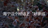 海寧這個村結上“好親戚” 優質醫療服務來到家門口