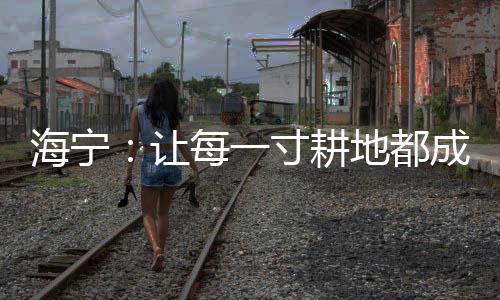 海寧：讓每一寸耕地都成為充滿希望、溢滿豐盈的沃土