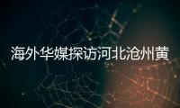 海外華媒探訪河北滄州黃驊港 點贊能源大港的現代與智慧