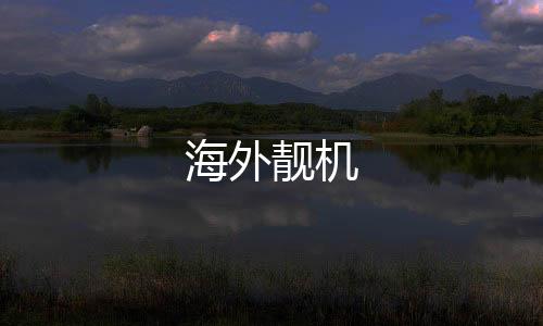 海外靚機