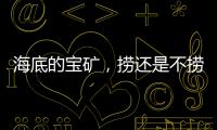海底的寶礦，撈還是不撈？｜世界海洋日