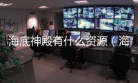 海底神殿有什么資源（海底神殿有什么）