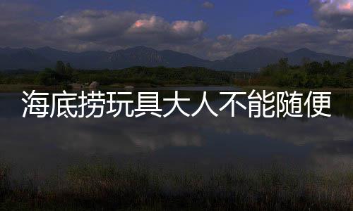 海底撈玩具大人不能隨便拿了，網友：成年人的童心也要被守護
