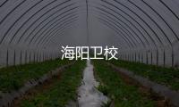 海陽衛校