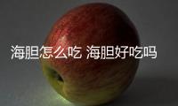 海膽怎么吃 海膽好吃嗎