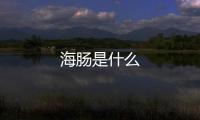 海腸是什么