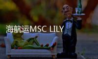 海航運MSC LILY輪將加入亞洲/美洲鐘擺航線運營