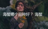 海蟹哪個品種好？ 海蟹品種大全圖