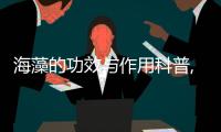 海藻的功效與作用科普,海藻的副作用科普藥效用法圖片