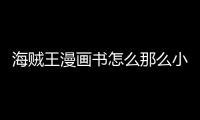 海賊王漫畫書怎么那么小