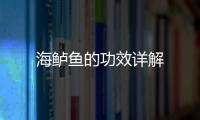 海鱸魚的功效詳解