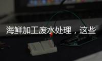 海鮮加工廢水處理，這些方法讓你輕松達標！