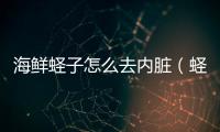海鮮蟶子怎么去內(nèi)臟（蟶子怎么去內(nèi)臟）