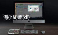 海(hǎi)底(dǐ)撈(lāo)針(zhēn)到底是什么情況?