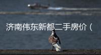 濟南偉東新都二手房價（濟南偉東新都二手房）