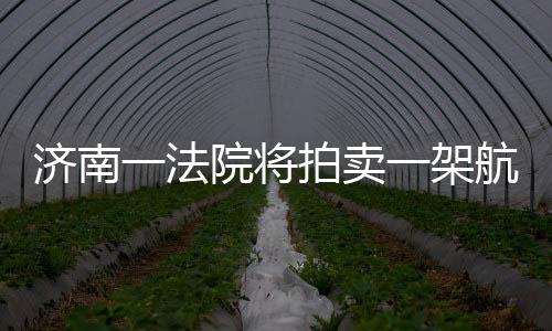 濟(jì)南一法院將拍賣一架航空器 起拍價(jià)22.4萬元