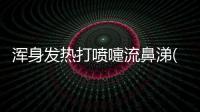 渾身發熱打噴嚏流鼻涕(貓咪鼻頭發熱打噴嚏)