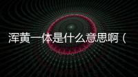 渾黃一體是什么意思啊（渾黃一體的意思）