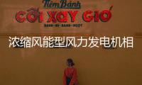 濃縮風能型風力發電機相似模型流場特性試驗