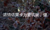 濃情依萊卡為愛筑巢，健康全鋁家居感恩天下母親!